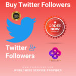 Twitter Followers